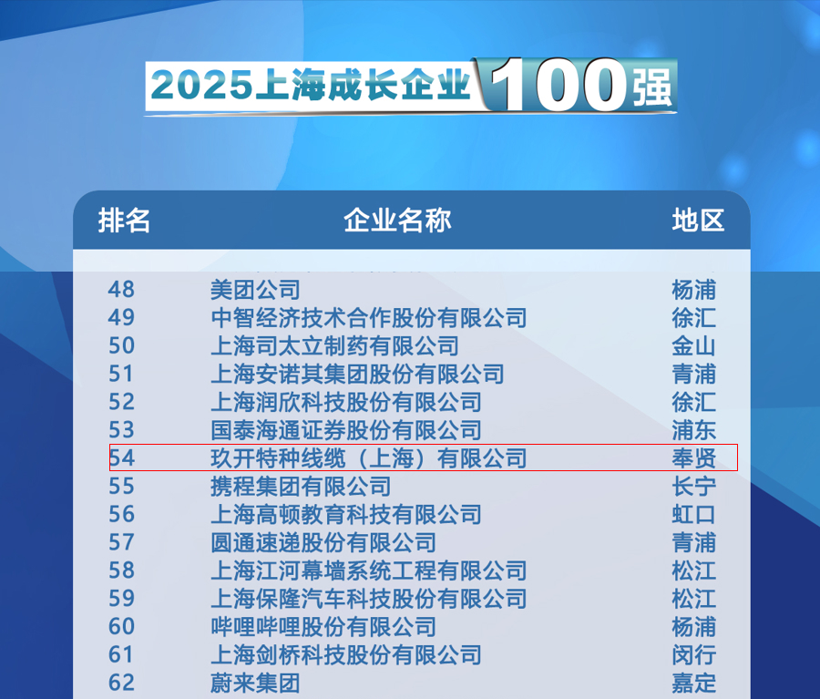聚焦2025上海百强发布会：MK体育登榜成长企业100强
